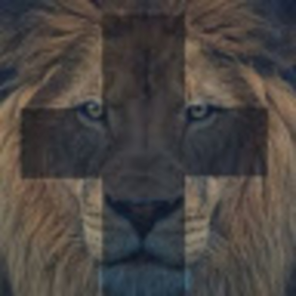 Meet your Posher, Brodie